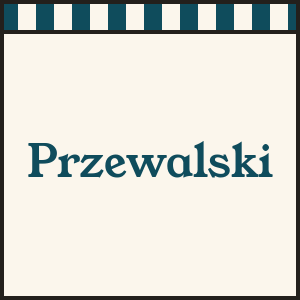 Przewalski