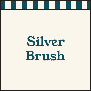 Silver Brush